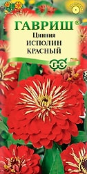 Семена Гавриш Цинния Исполин красный 0.3г