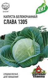 Капуста Слава 1305 Описание Сорта Фото