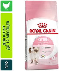 Сухой корм для котят Royal Canin Second Age Kitten 2кг