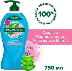 Гель для душа Palmolive Арома Настроение Твой Массаж с солью Мертвого Моря Алоэ Вера и Мятой 750мл
