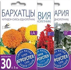 Комплект семян Агроуспех Бархатцы Купидон + Сальвия Скарлет + Цинерария Приморская 3шт