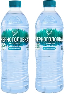 Изображение товара Вода Черноголовка артезианская негазированная 500мл