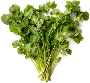 Изображение товара Зелень Маркет Fresh Кинза премиум упаковка 100г