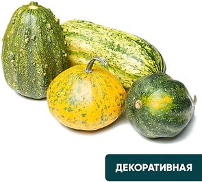 Изображение товара Тыква Микс декоративная 1.2-1.5кг