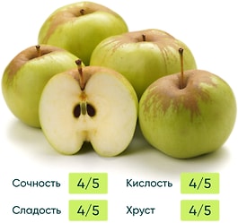 Изображение товара Яблоки Богатырь 1кг 