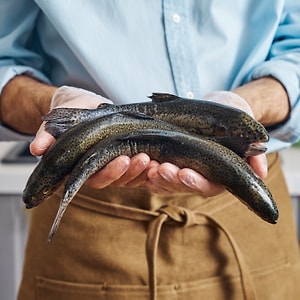 Изображение товара Форель охлажденная 0.2-0.5кг