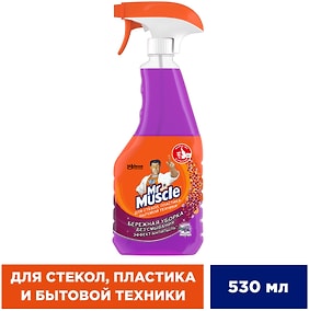 Изображение товара Чистящее средство Mr.Muscle для мытья стекол пластика и бытовой техники лаванда 530мл