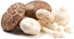 Изображение товара Грибы Есть грибы Шиитаке шимеджи шампиньоны для жаркого по-карельски 210г