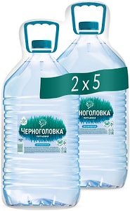 Изображение товара Вода Черноголовка Вкусная питьевая негазированная 5л
