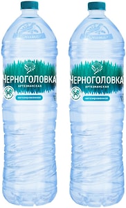 Изображение товара Вода Черноголовка для детского питания артезианская негазированная 1.5л