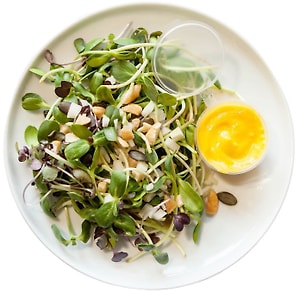 Изображение товара Салат Botanica Farm из микрозелени Тыква Бум 100г