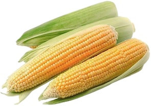 Изображение товара Кукуруза свежая в початках 2шт