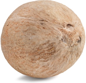 Изображение товара Кокос питьевой 1шт