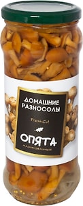 Изображение товара Грибы Домашние разносолы Опята 580мл