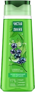 Изображение товара Гель для душа Чистая Линия Пробуждающий на 100% натуральной основе смородина и ледниковая вода 250мл
