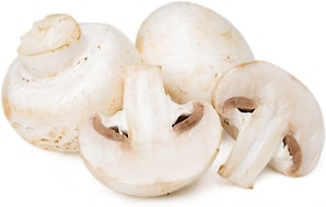 Изображение товара Шампиньоны 1кг