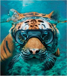 Изображение товара Тетрадь в клетку Centrum А5 48л