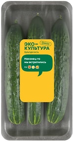 Изображение товара Огурцы среднеплодные колючие 600г упаковка