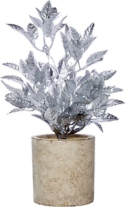 Изображение товара Украшение интерьерное Magic Time Растение в кашпо из бетона 12*12*23.5см