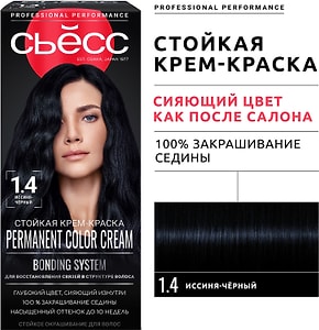 Изображение товара Крем-краска для волос Сьесс 1-4 Иссиня-черный 115мл