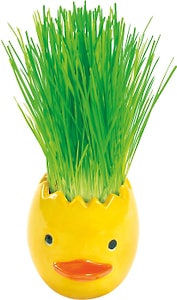 Изображение товара Набор пасхальный Домашняя кухня Пшеничка из яичка Сделай сам