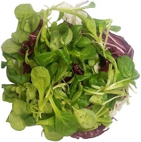 Изображение товара Салат Маркет Fresh Радичио + Корн 125г