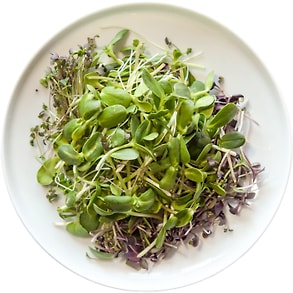 Изображение товара Микс Botanica Farm из микрозелени Салатный 65г