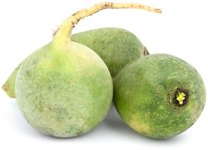 Изображение товара Редька зеленая 1кг