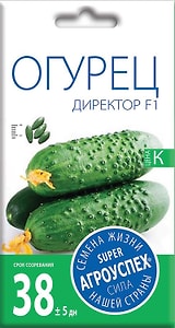 Изображение товара Семена Агроуспех Огурец Директор F1 7шт