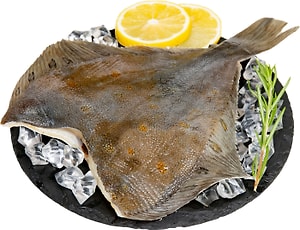 Изображение товара Камбала без головы охлажденная  Желтобрюхая  (Дальний Восток) 0.4-0.6кг