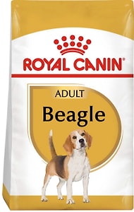 royal canin for beagle