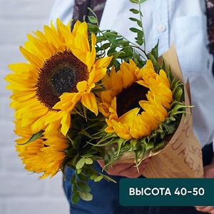 Изображение товара Букет Подсолнухи 3шт