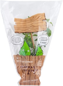 Изображение товара Мята в горшочке 1шт