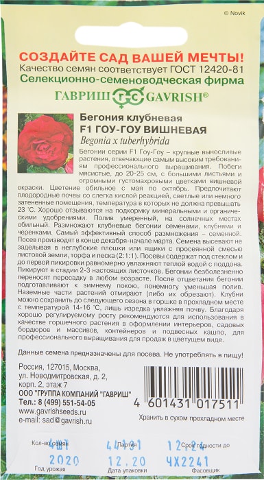 Бегония Гоу-Гоу Вишневая: описание сорта, характеристики, особенности посадки и выращивания, отзывы - садовый мир