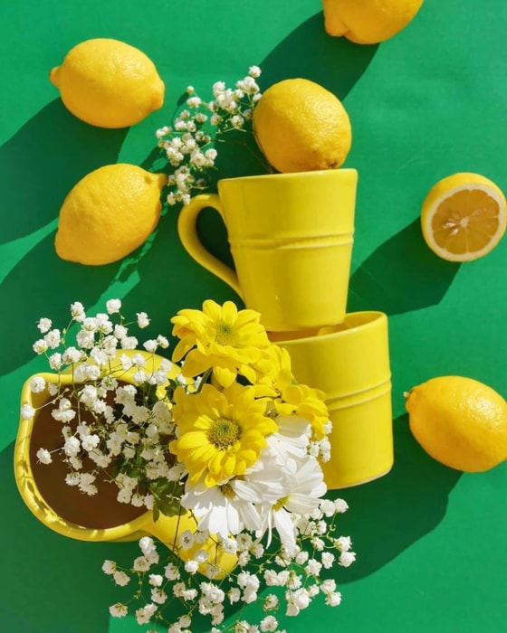 Бантики лимончики. Лимоны 400. Лимон. Лимоны 400. Павловский лимон.