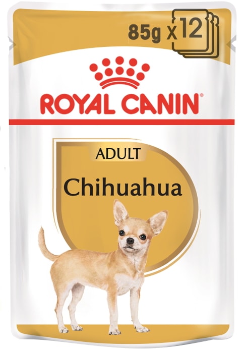 Chihuahua adult best sale royal canin