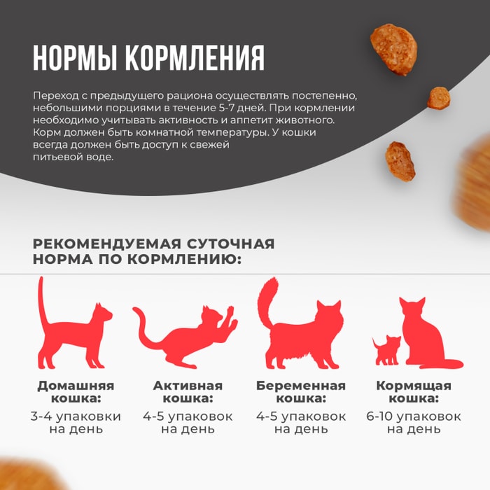 Влажный корм для кошек X-CAT Курица и индейка в соусе 85г - купить с  доставкой в Vprok.ru Перекрёсток по цене 69.90 руб.