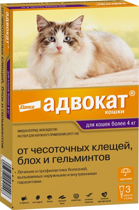 Антипаразитарный препарат для кошек Bayer Адвокат 4-8кг 3пипетки*0.8мл -  купить с доставкой в Vprok.ru Перекрёсток по цене 1819.00 руб.