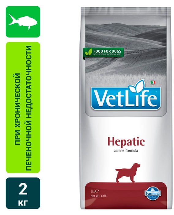 Vet life отзывы для кошек. Vet Life Diabetic для собак. Farmina vet Life Dog Diabetic. Корм для кошек для диабетиков Фармина. Farmina vet Life Diabetic 12 кг.