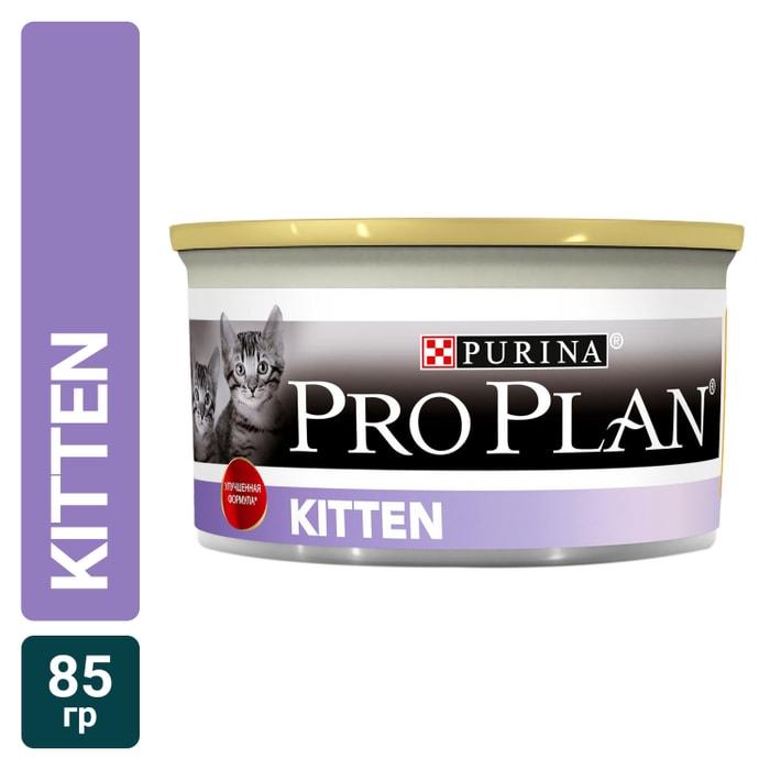 Pro plan kitten