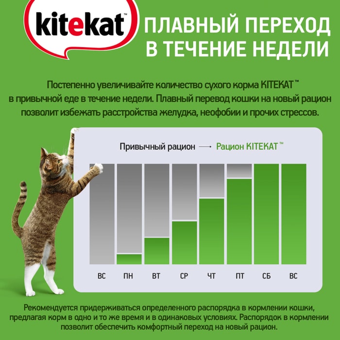 Kitekat     200  - 70