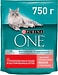 Сухой корм для кошек Purina ONE с лососем и пшеницей 750г