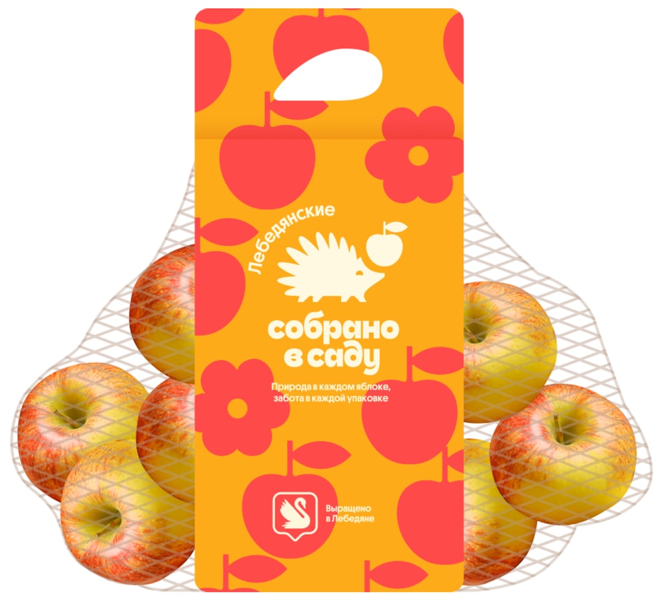 Яблоки Собрано в саду Лебедянские 1кг. Закажите онлайн!