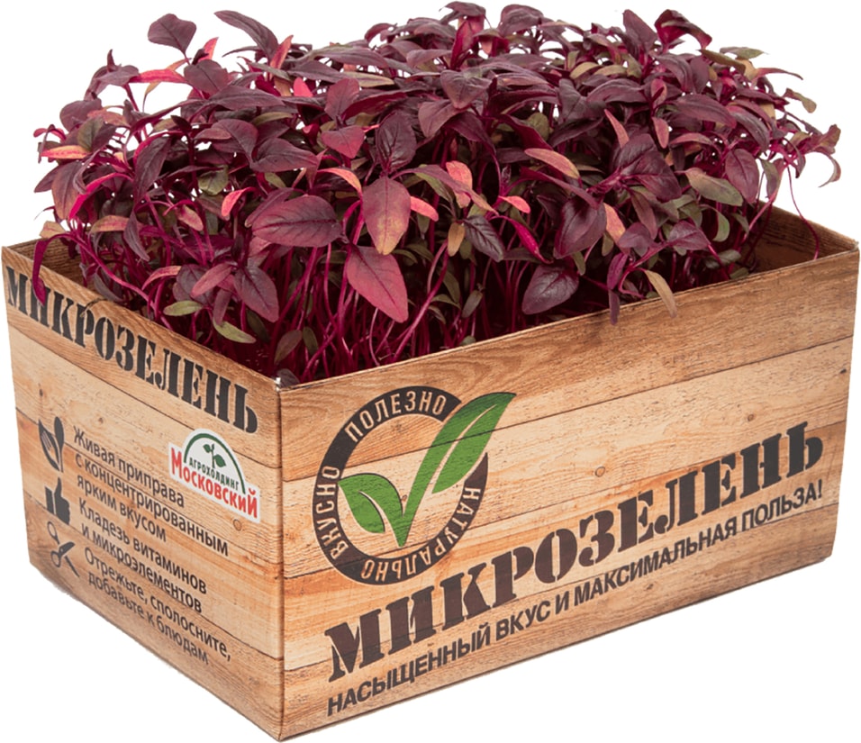 Микрозелень Агрокомбинат Московский Амарант 1шт