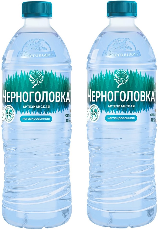 Вода Черноголовка артезианская негазированная 500мл
