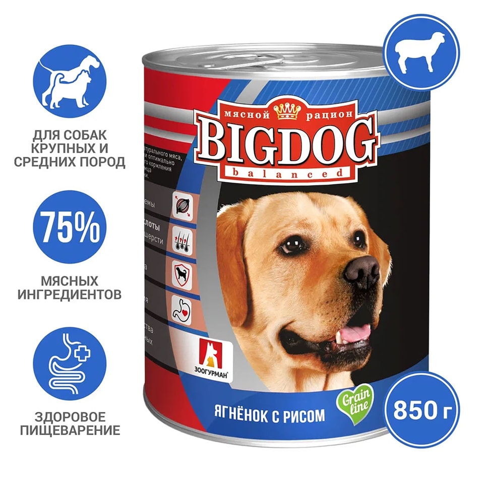 Корм для собак Зоогурман Big Dog balanced Ягненок с рисом 850г (упаковка 6 шт.)
