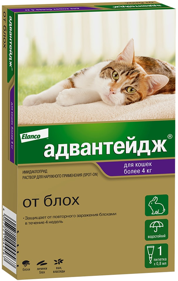 Капли для котят и кошек Bayer Адвантейдж более 4кг от блох 1 пипетка*0.8мл