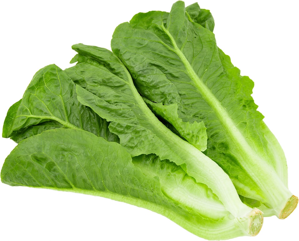 Салат Superfood Farm Бэби Рэм Мини-Романо 185г