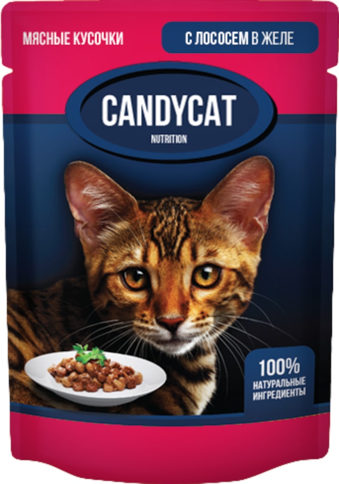 Влажный корм для кошек CandyCat Лосось в желе 85г