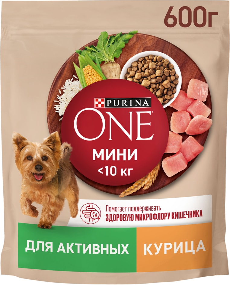 Сухой корм для собак Purina ONE для мелких пород с активным образом жизни с курицей и рисом 600г 309₽